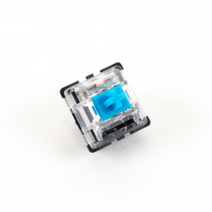 blue1-1-300x300 blue1-1-300x300